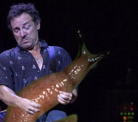 bruce springsteen guitar solo slug