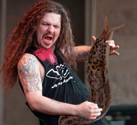 dimebag darrell guitar solo slug