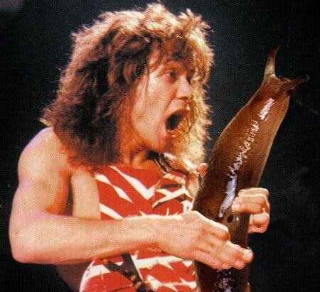 eddie van halen guitar solo slug