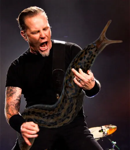 james hetfield metallica guitar solo slug