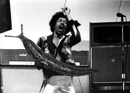 jimi hendrix guitar solo slug