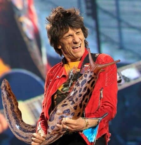 ronnie wood rolling stones guitar solo slug