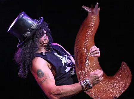 slash guns n roses guitar solo slug