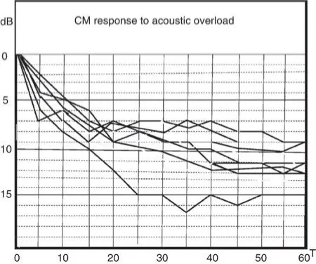 rats acoustic overload