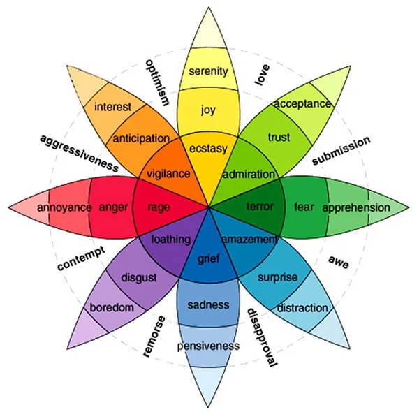 understanding emotions