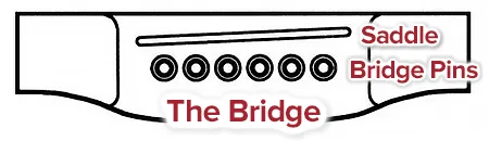 guitar bridge and saddle maintenance