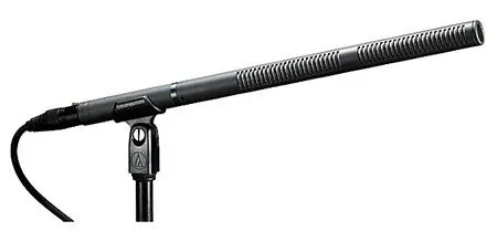different types of microphones - shotgun mics